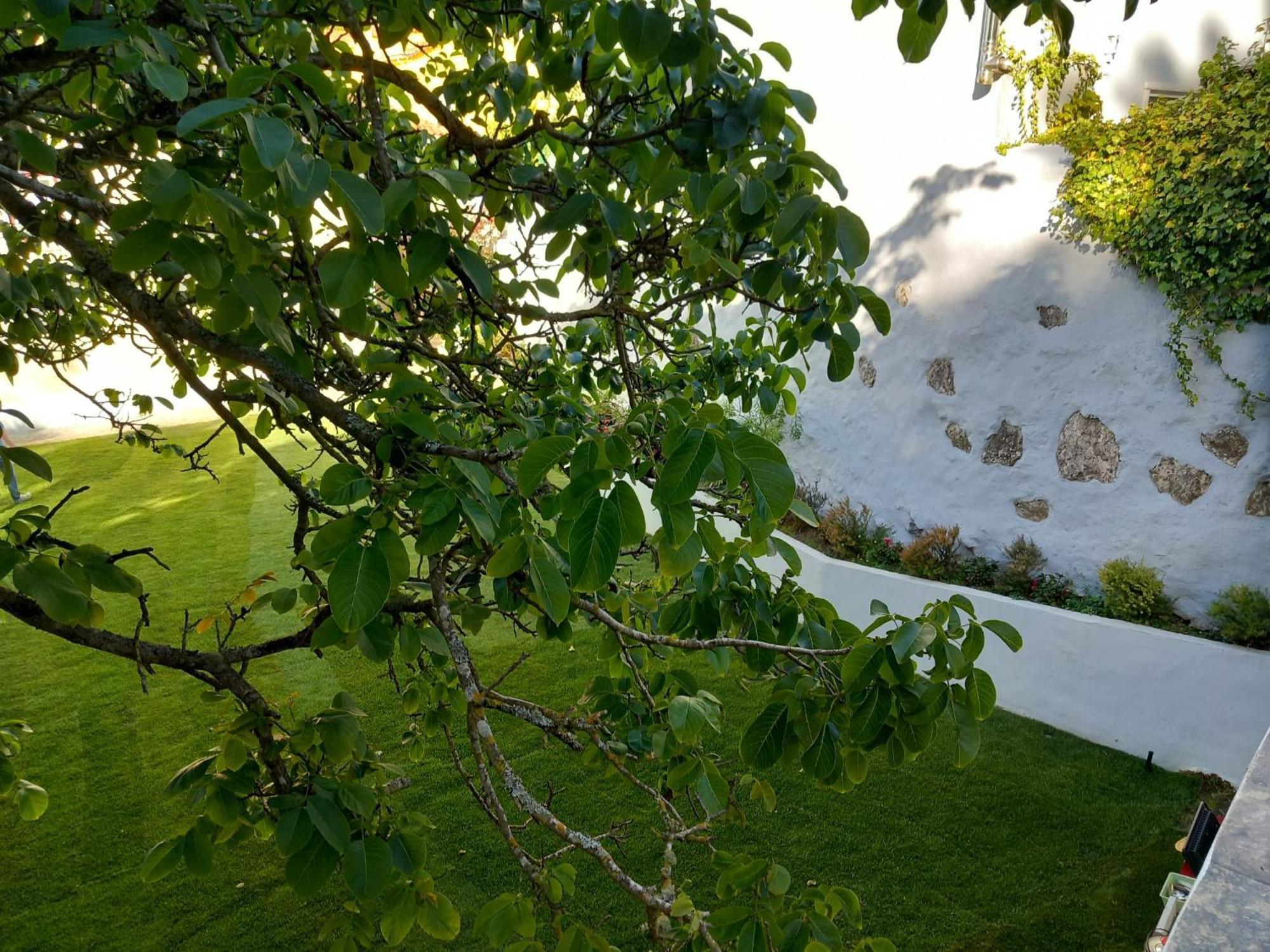 Villa In Sintra - Casa Da Penha Ferrim Exterior photo
